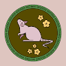 AndrzejaLatkowska avatar